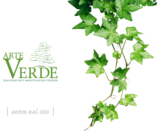 ARTE VERDE - Realizzazione e manutenzione giardini